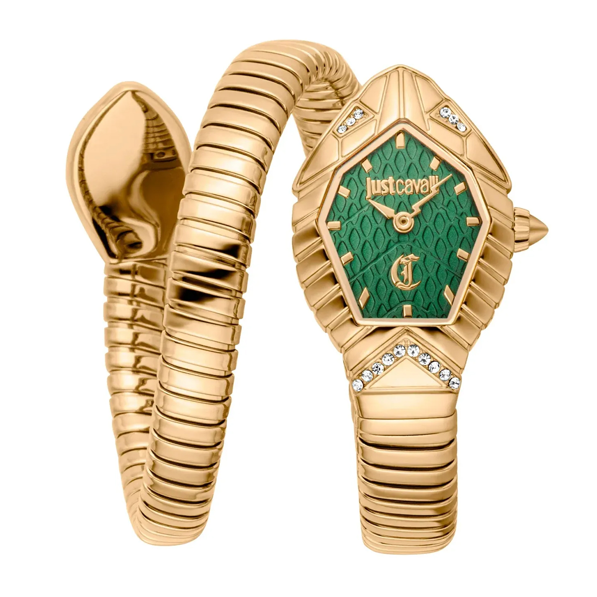 MONTRE JUST CAVALI FEMME SIMPLE ACIER